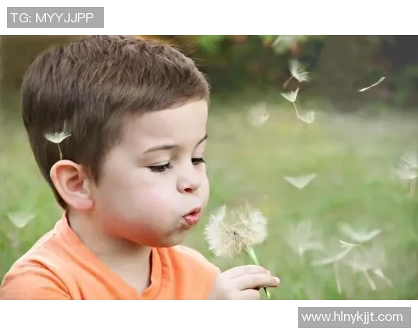 姚明辉煌赛季生涯回顾与成就分析,篮球传奇的成长之路